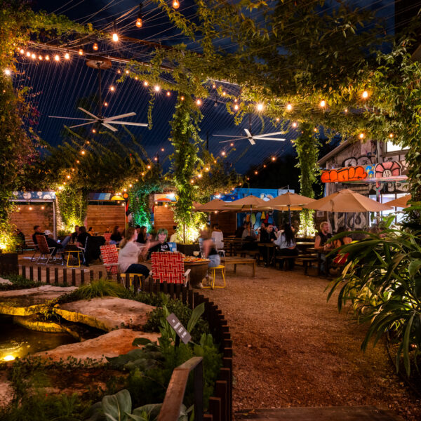 2411-CosmicSaltillo-129