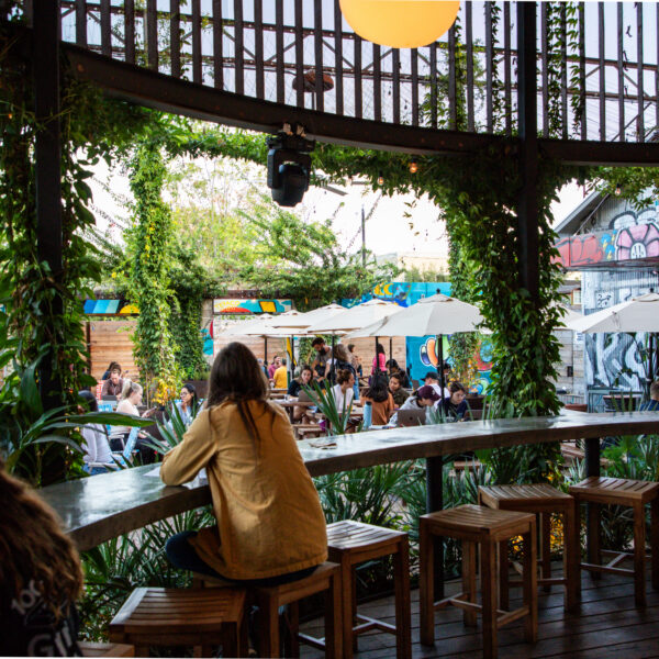 2411-CosmicSaltillo-131