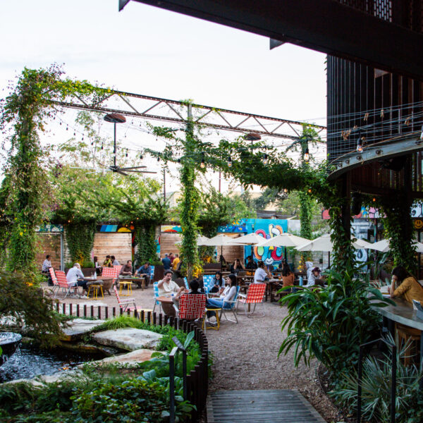 2411-CosmicSaltillo-141