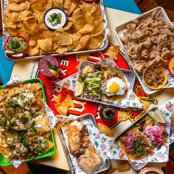 2411-CosmicSaltillo-73